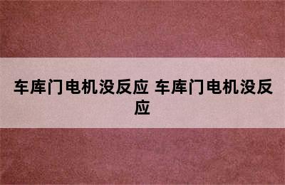 车库门电机没反应 车库门电机没反应